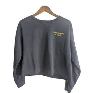 Abercrombie & Fitch Rainbow Stripe Cropped Sweatshirt Cozy & Casual Logo Sz S